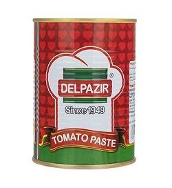 دلپذیر رب گوجه 400گرم